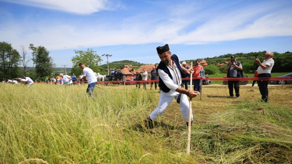 TAKMIČENJE KOSAČA U GORNJIM GRBICAMA KOD KRAGUJEVCA: Od svega važnije što su slogu doveli u selo