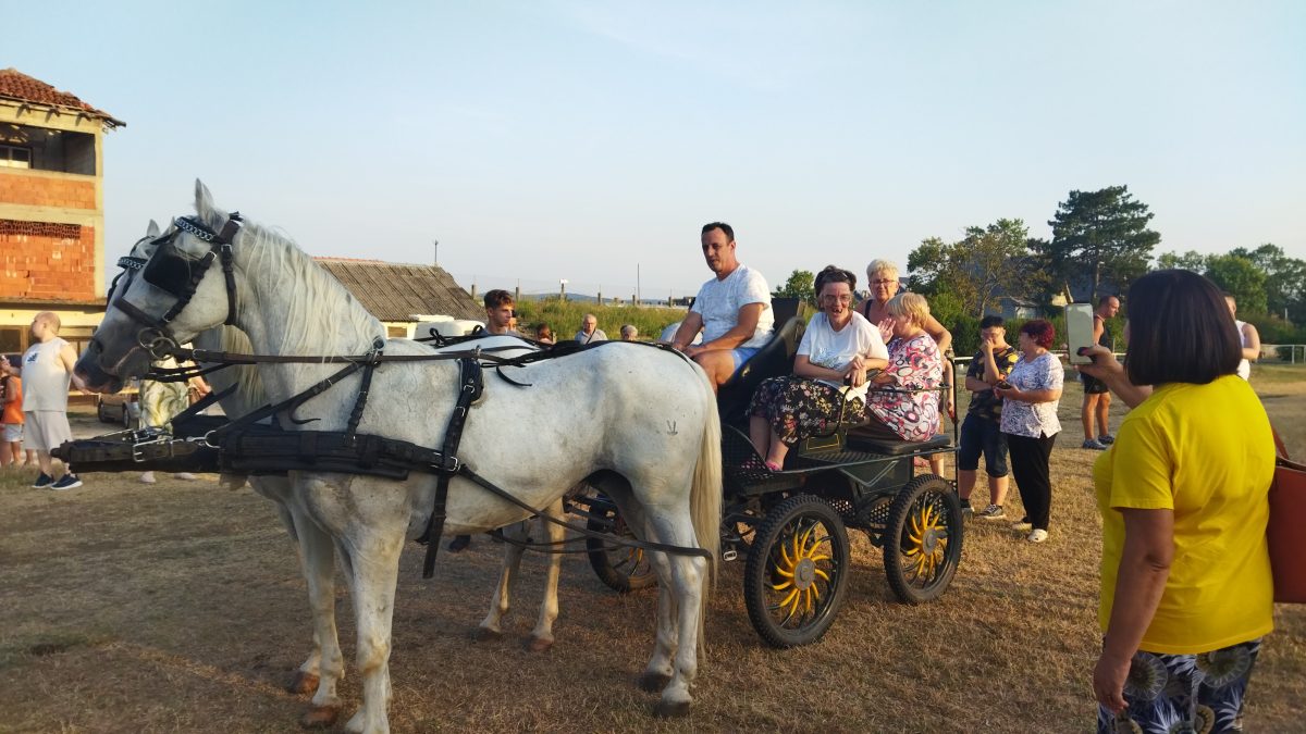 UDRUŽENJE ZA POMOĆ OSOBAMA SA AUTIZMOM: Druženje na hipodromu