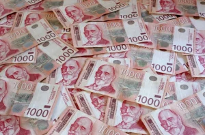 Zarađuju više od 110.000 dinara mesečno: Evo ko ima ubedljivo najveće plate